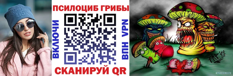 Псилоцибиновые грибы Psilocybine cubensis  Азов 