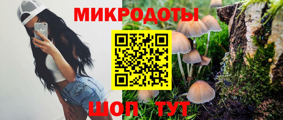 Псилоцибиновые грибы GOLDEN TEACHER Азов